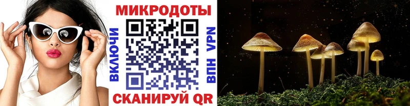 сколько стоит  omg ссылка  Галлюциногенные грибы прущие грибы  Нижние Серги 